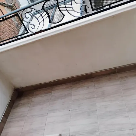 за гости белите брези