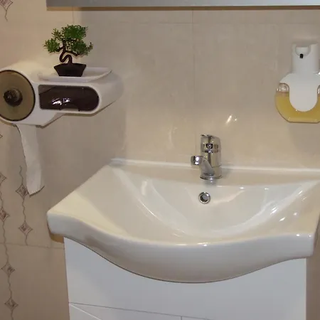 за гости белите брези *