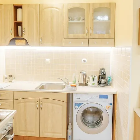 за гости белите брези *